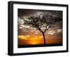 Africa, Kenya, Masai Mara, sunrise-George Theodore-Framed Photographic Print