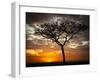 Africa, Kenya, Masai Mara, sunrise-George Theodore-Framed Photographic Print