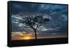 Africa, Kenya, Masai Mara sunrise-George Theodore-Framed Stretched Canvas