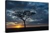 Africa, Kenya, Masai Mara sunrise-George Theodore-Stretched Canvas