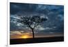 Africa, Kenya, Masai Mara sunrise-George Theodore-Framed Photographic Print