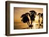 Africa, Kenya, North Rift District, sunrise on the beach, through the palms-Alison Jones-Framed Photographic Print
