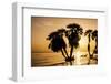 Africa, Kenya, North Rift District, sunrise on the beach, through the palms-Alison Jones-Framed Photographic Print