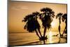 Africa, Kenya, North Rift District, sunrise on the beach, through the palms-Alison Jones-Mounted Photographic Print