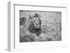 Africa, Kenya, Northern Serengeti Plains, Maasai Mara. Male lion-Cindy Miller Hopkins-Framed Photographic Print