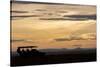 Africa, Kenya, Northern Serengeti Plains, Maasai Mara. Mara sunrise with safari jeep silhouette.-Cindy Miller Hopkins-Stretched Canvas