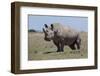 Africa, Kenya, Ol Pejeta Conservancy, critically endangered Northern white rhinos.-Cindy Miller Hopkins-Framed Photographic Print