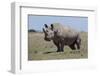 Africa, Kenya, Ol Pejeta Conservancy, critically endangered Northern white rhinos.-Cindy Miller Hopkins-Framed Photographic Print