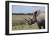 Africa, Kenya, Ol Pejeta Conservancy. One the last 2 critically endangered Northern white rhinos.-Cindy Miller Hopkins-Framed Photographic Print