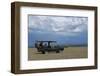 Africa, Kenya, Ol Pejeta Conservancy. Safari jeep with Southern white rhinoceros-Cindy Miller Hopkins-Framed Photographic Print