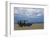 Africa, Kenya, Ol Pejeta Conservancy. Safari jeep with Southern white rhinoceros-Cindy Miller Hopkins-Framed Photographic Print