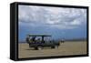 Africa, Kenya, Ol Pejeta Conservancy. Safari jeep with Southern white rhinoceros-Cindy Miller Hopkins-Framed Stretched Canvas