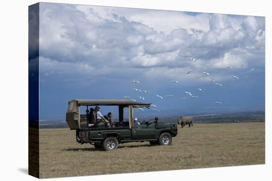 Africa, Kenya, Ol Pejeta Conservancy. Safari jeep with Southern white rhinoceros-Cindy Miller Hopkins-Stretched Canvas