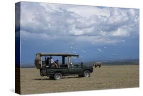 Africa, Kenya, Ol Pejeta Conservancy. Safari jeep with Southern white rhinoceros-Cindy Miller Hopkins-Stretched Canvas