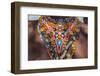 Africa, Kenya, Samburu National Reserve. Tribal handicrafts, jewelry.-Emily Wilson-Framed Photographic Print