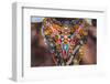 Africa, Kenya, Samburu National Reserve. Tribal handicrafts, jewelry.-Emily Wilson-Framed Photographic Print