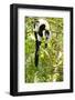 Africa, Madagascar. A black-and-white ruffed lemur completely relaxes in a tree.-Ellen Goff-Framed Photographic Print