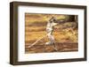 Africa, Madagascar. A Verreaux's sifaka 'dances' across open areas while its baby holding on.-Ellen Goff-Framed Photographic Print