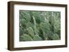 Africa, Madagascar, Spiny Forest, road to Berenty Reserve. A clump of prickly pear cactus-Ellen Goff-Framed Photographic Print