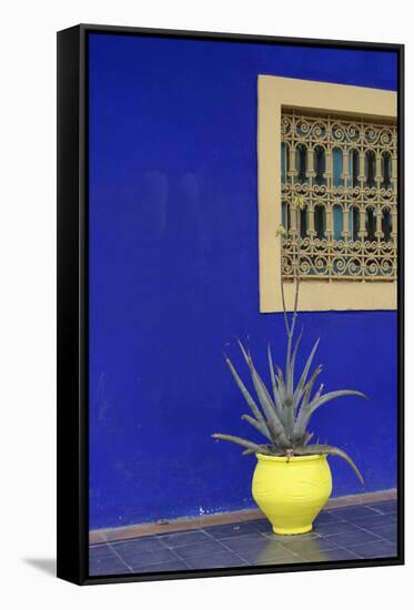 Africa, Morocco, Marrakesh. Cactus in a Bright Yellow Pot Against a Vivid Majorelle Blue Wall-Alida Latham-Framed Stretched Canvas