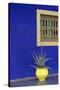 Africa, Morocco, Marrakesh. Cactus in a Bright Yellow Pot Against a Vivid Majorelle Blue Wall-Alida Latham-Stretched Canvas