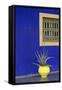 Africa, Morocco, Marrakesh. Cactus in a Bright Yellow Pot Against a Vivid Majorelle Blue Wall-Alida Latham-Framed Stretched Canvas