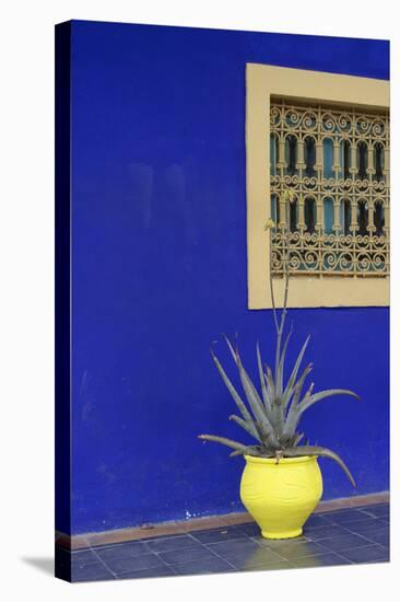 Africa, Morocco, Marrakesh. Cactus in a Bright Yellow Pot Against a Vivid Majorelle Blue Wall-Alida Latham-Stretched Canvas