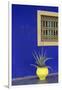 Africa, Morocco, Marrakesh. Cactus in a Bright Yellow Pot Against a Vivid Majorelle Blue Wall-Alida Latham-Framed Photographic Print