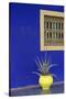 Africa, Morocco, Marrakesh. Cactus in a Bright Yellow Pot Against a Vivid Majorelle Blue Wall-Alida Latham-Stretched Canvas