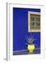 Africa, Morocco, Marrakesh. Cactus in a Bright Yellow Pot Against a Vivid Majorelle Blue Wall-Alida Latham-Framed Photographic Print