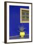 Africa, Morocco, Marrakesh. Cactus in a Bright Yellow Pot Against a Vivid Majorelle Blue Wall-Alida Latham-Framed Photographic Print