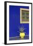 Africa, Morocco, Marrakesh. Cactus in a Bright Yellow Pot Against a Vivid Majorelle Blue Wall-Alida Latham-Framed Photographic Print