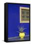 Africa, Morocco, Marrakesh. Cactus in a Bright Yellow Pot Against a Vivid Majorelle Blue Wall-Alida Latham-Framed Stretched Canvas