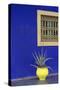 Africa, Morocco, Marrakesh. Cactus in a Bright Yellow Pot Against a Vivid Majorelle Blue Wall-Alida Latham-Stretched Canvas