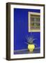 Africa, Morocco, Marrakesh. Cactus in a Bright Yellow Pot Against a Vivid Majorelle Blue Wall-Alida Latham-Framed Photographic Print