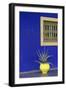 Africa, Morocco, Marrakesh. Cactus in a Bright Yellow Pot Against a Vivid Majorelle Blue Wall-Alida Latham-Framed Photographic Print