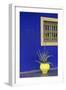 Africa, Morocco, Marrakesh. Cactus in a Bright Yellow Pot Against a Vivid Majorelle Blue Wall-Alida Latham-Framed Photographic Print