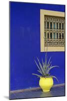 Africa, Morocco, Marrakesh. Cactus in a Bright Yellow Pot Against a Vivid Majorelle Blue Wall-Alida Latham-Mounted Photographic Print