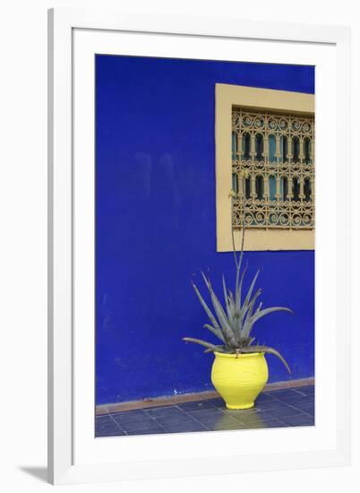 Africa, Morocco, Marrakesh. Cactus in a Bright Yellow Pot Against a Vivid Majorelle Blue Wall-Alida Latham-Framed Photographic Print