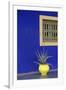 Africa, Morocco, Marrakesh. Cactus in a Bright Yellow Pot Against a Vivid Majorelle Blue Wall-Alida Latham-Framed Photographic Print