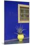 Africa, Morocco, Marrakesh. Cactus in a Bright Yellow Pot Against a Vivid Majorelle Blue Wall-Alida Latham-Mounted Photographic Print