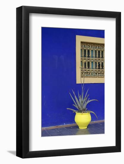 Africa, Morocco, Marrakesh. Cactus in a Bright Yellow Pot Against a Vivid Majorelle Blue Wall-Alida Latham-Framed Photographic Print