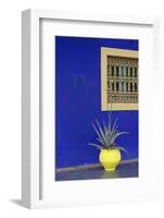 Africa, Morocco, Marrakesh. Cactus in a Bright Yellow Pot Against a Vivid Majorelle Blue Wall-Alida Latham-Framed Photographic Print