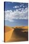 Africa, Morocco, Sahara. a Classic Landscape of the Dunes in Erg Chebbi-Brenda Tharp-Stretched Canvas