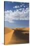Africa, Morocco, Sahara. a Classic Landscape of the Dunes in Erg Chebbi-Brenda Tharp-Stretched Canvas