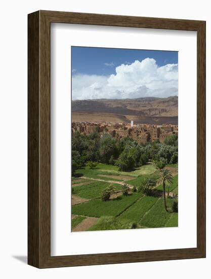 Africa, Morocco, Tinerhir. the Lush Oasis Outside of Tinerhir, in Todra Gorge-Brenda Tharp-Framed Photographic Print