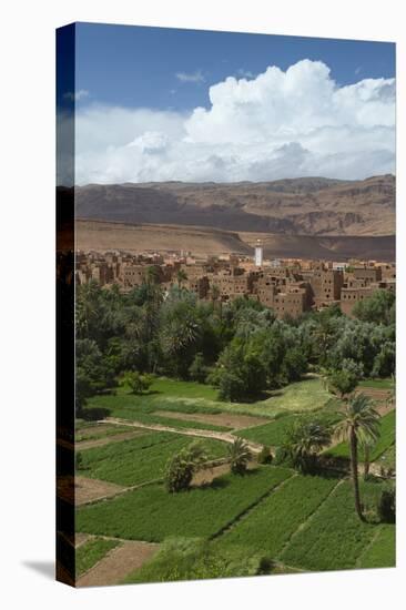 Africa, Morocco, Tinerhir. the Lush Oasis Outside of Tinerhir, in Todra Gorge-Brenda Tharp-Stretched Canvas