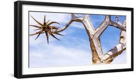 Africa, Namibia. Close Up of Quiver Tree-Jaynes Gallery-Framed Photographic Print