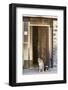 Africa, Namibia. Dogs at Door Entrance-Jaynes Gallery-Framed Photographic Print