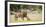 Africa, Namibia, Etosha National Park. Alpha Male Lion Inspects Cub-Jaynes Gallery-Framed Photographic Print